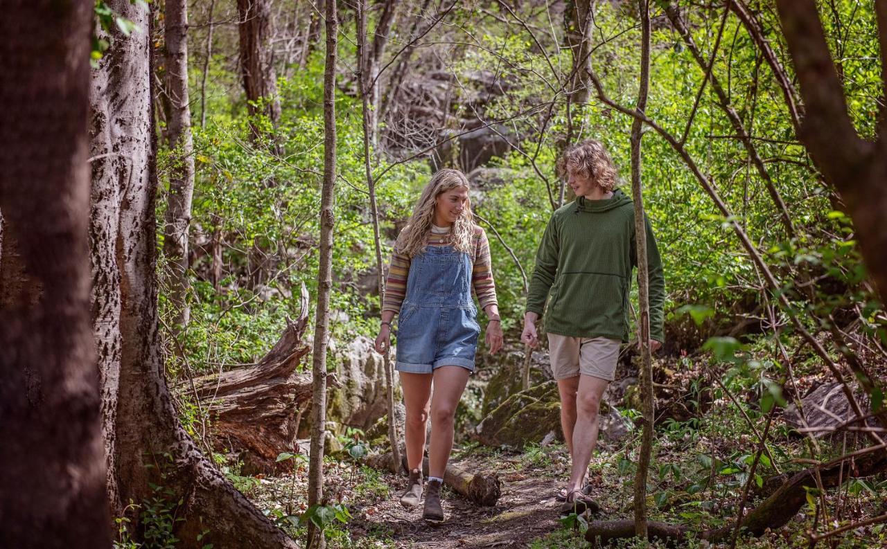 Eden Cabin Forested Tiny Home On Lookout Mtn Chattanooga Buitenkant foto